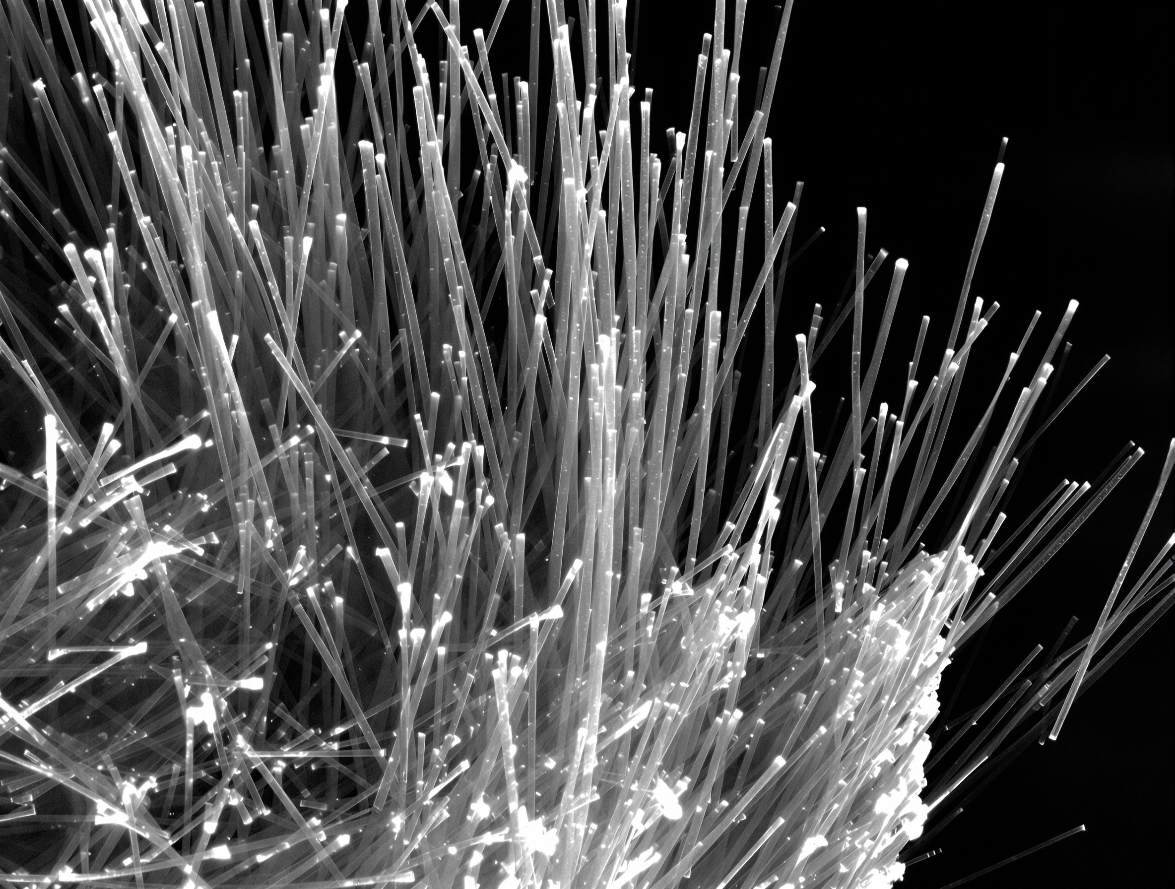 각섬석 석면 전자현미경 이미지