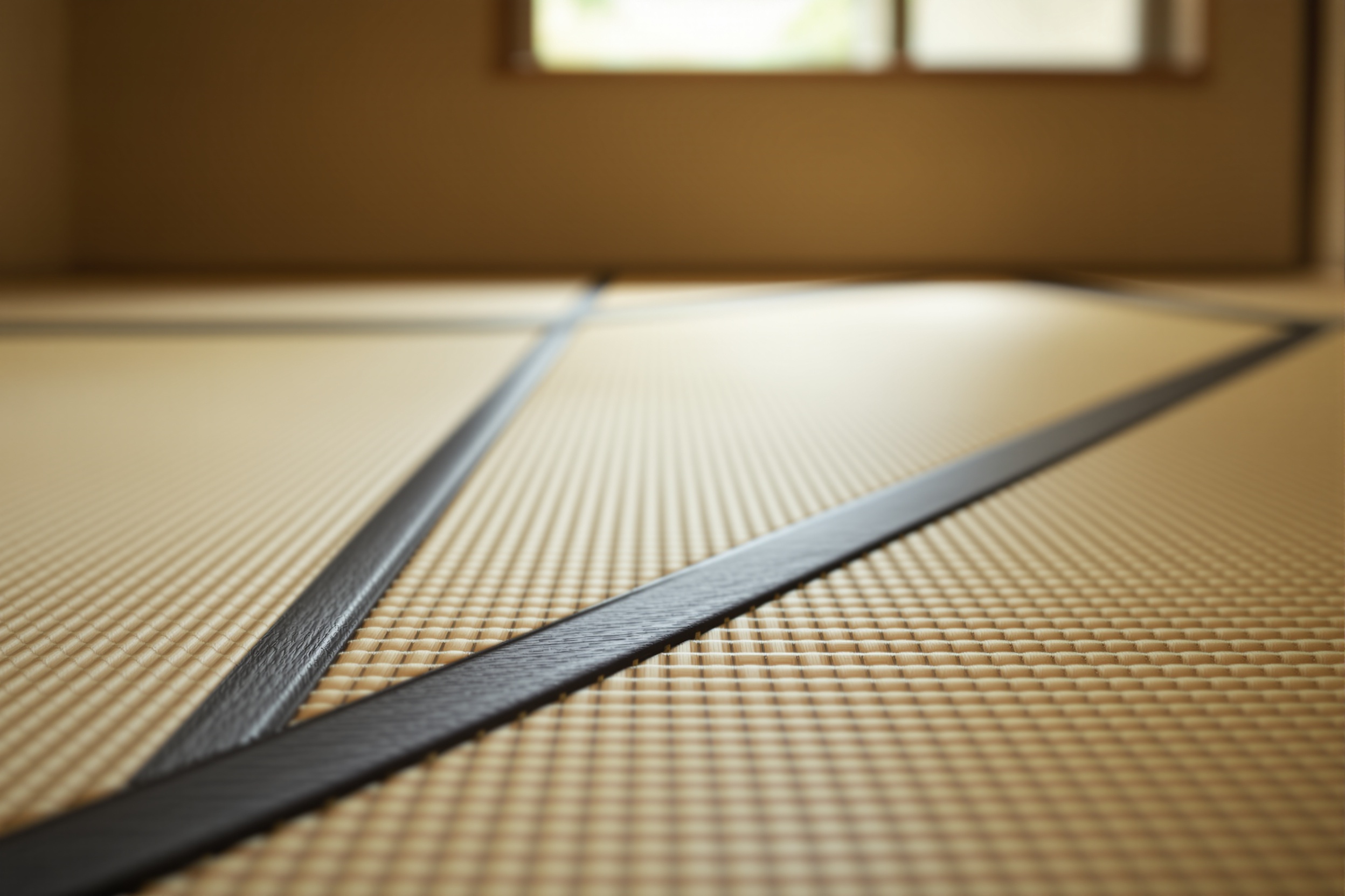 Tatami Mat