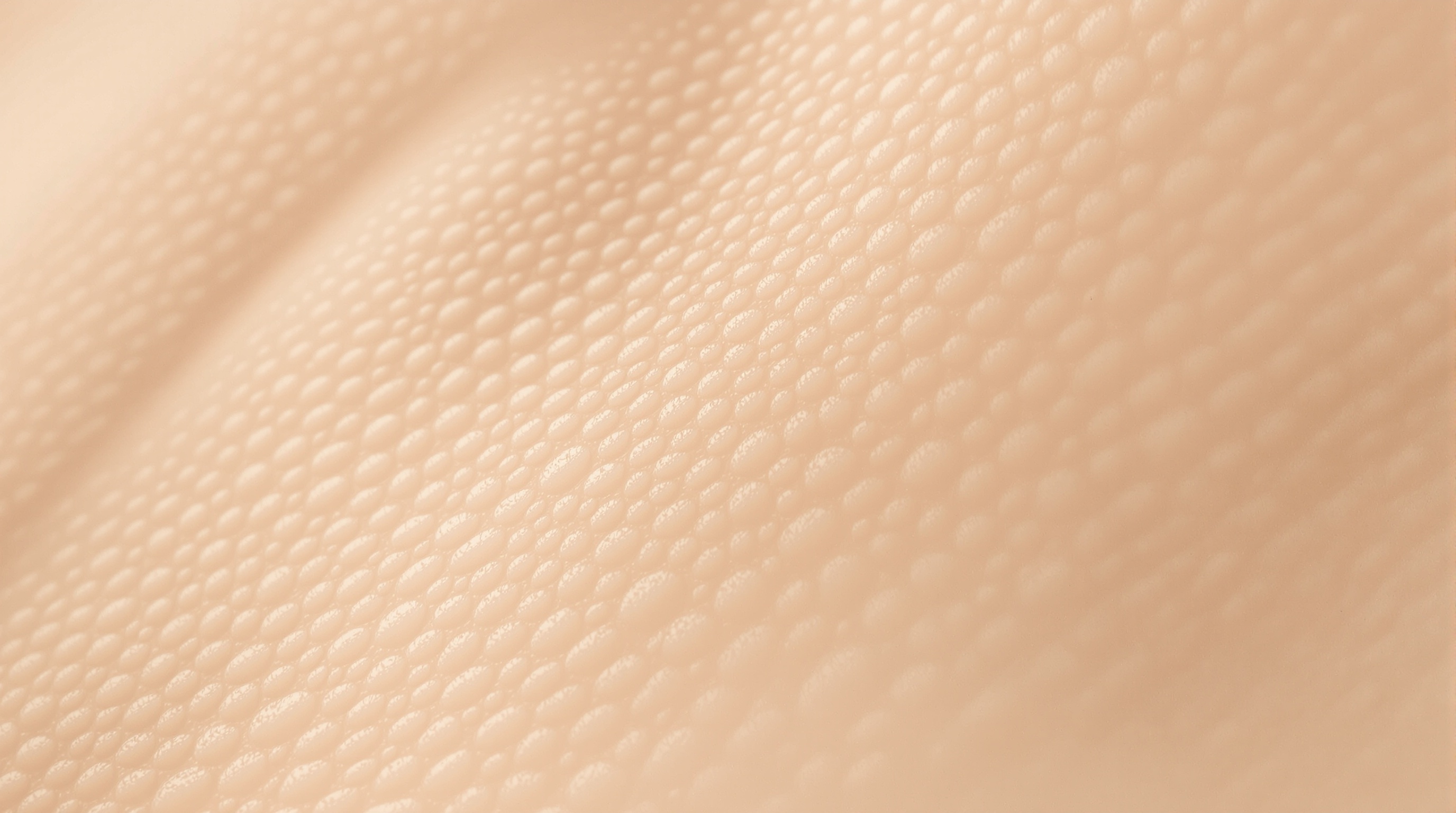 Skin Philosophy