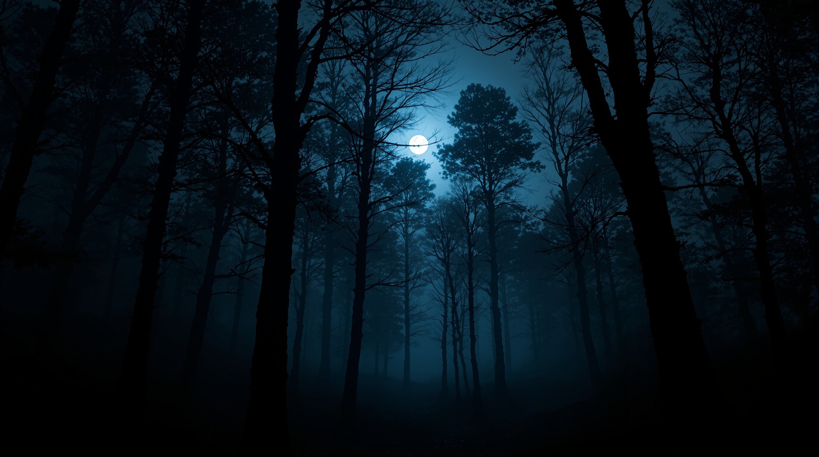 Floresta noturna