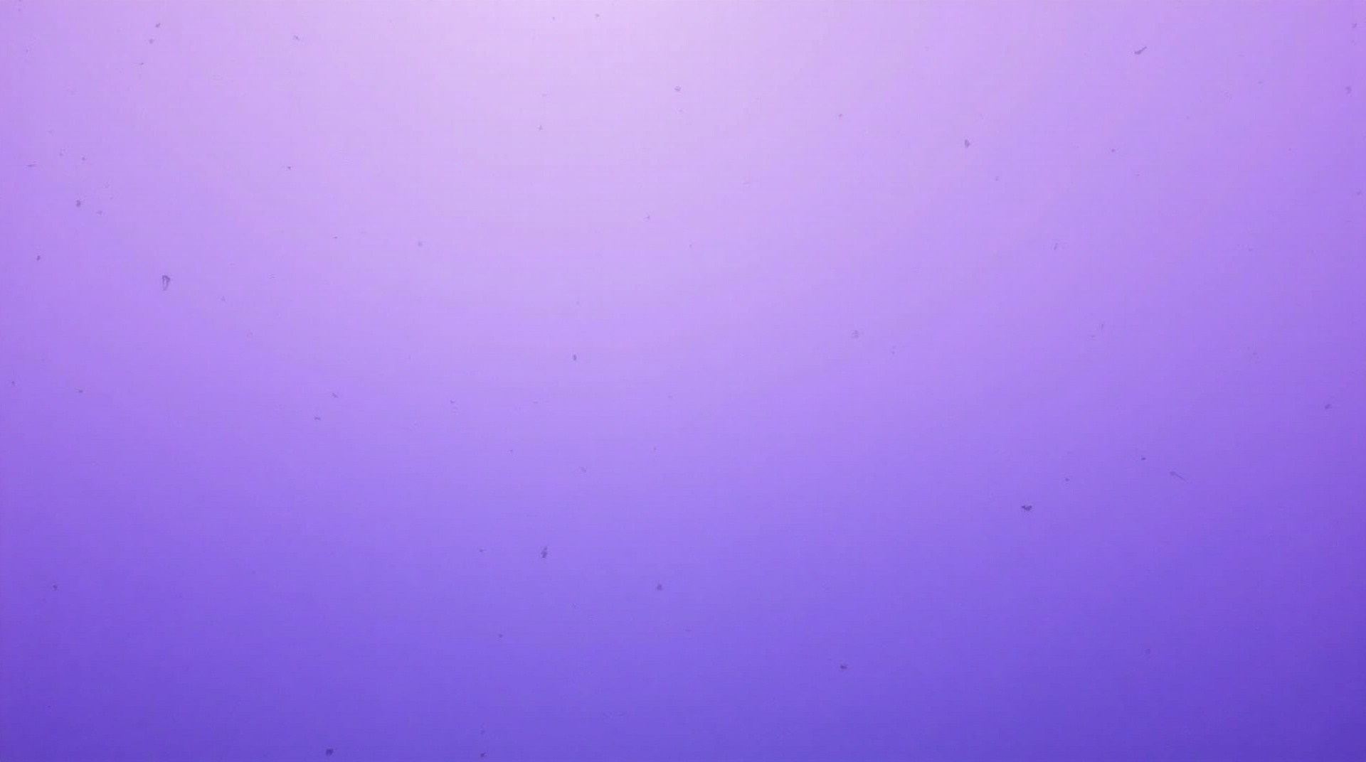 AI 바우처 지원 프로그램