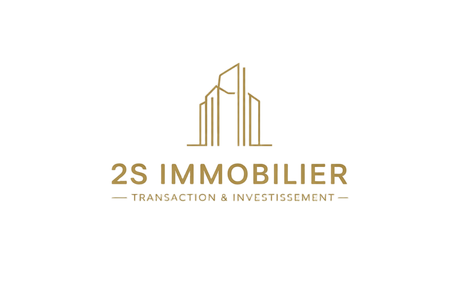 2S Immobilier Logo