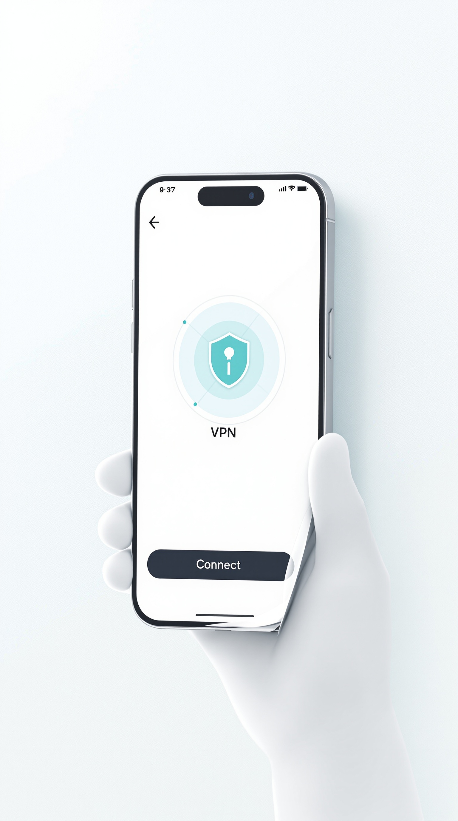 VPN Application Interface