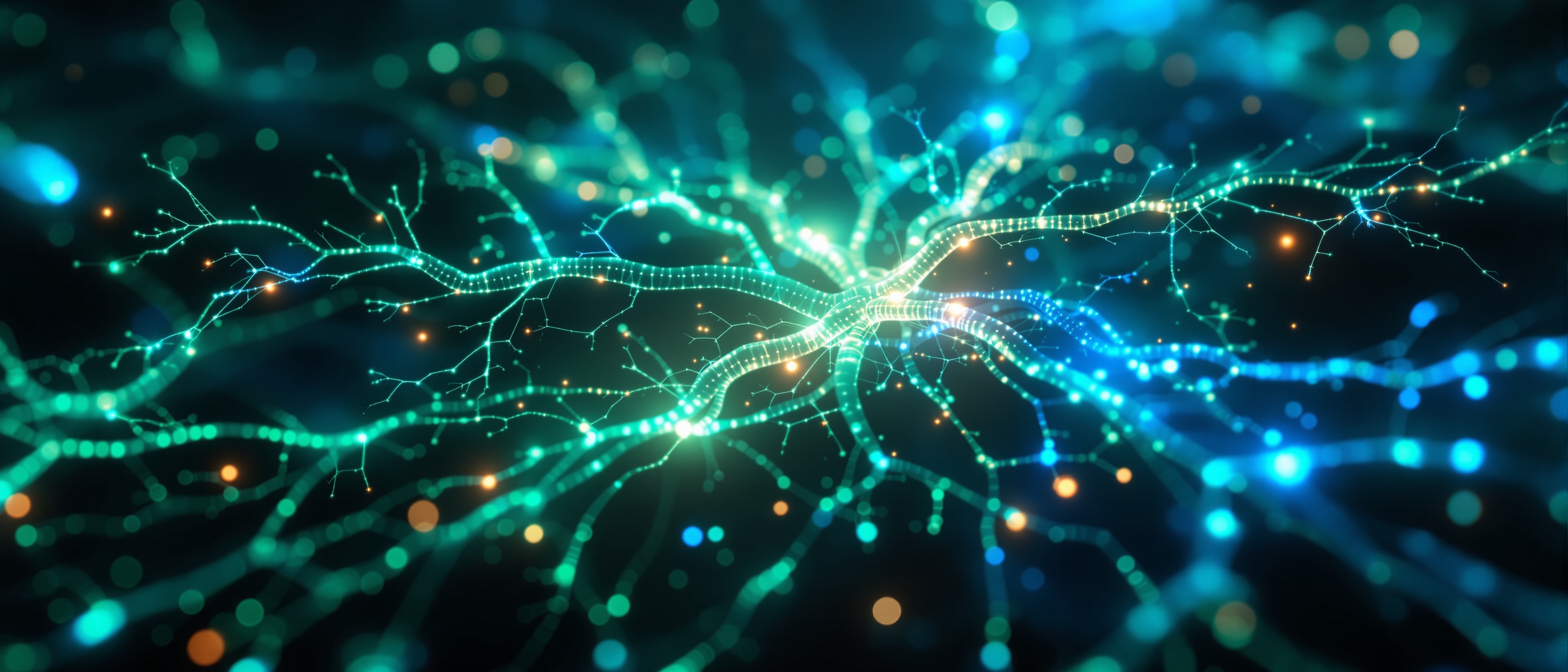 Polyvagal Theory & The Window of Tolerance