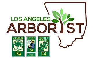 Los Angeles Arborist