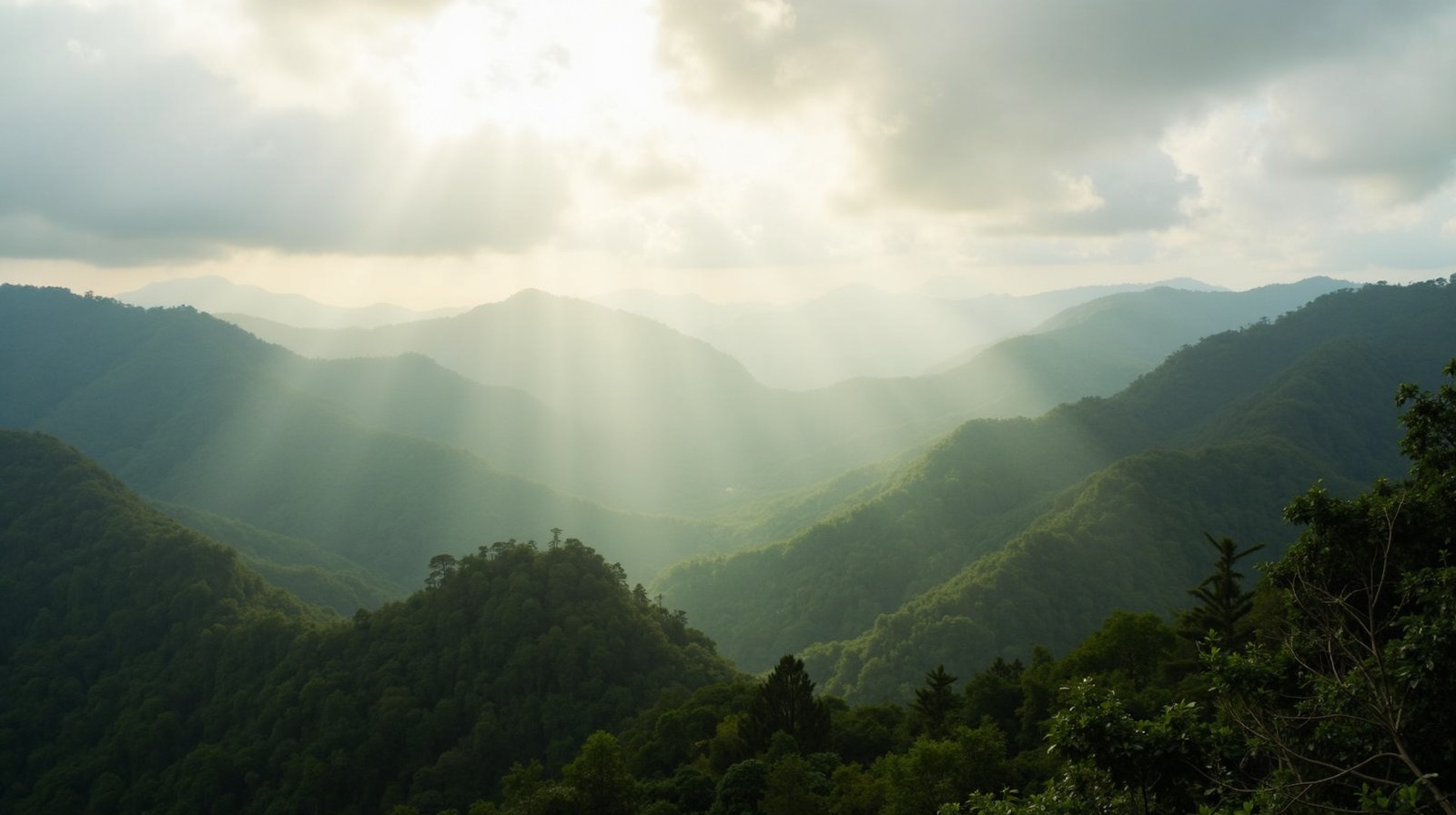 Experience Authentic Shillong Living