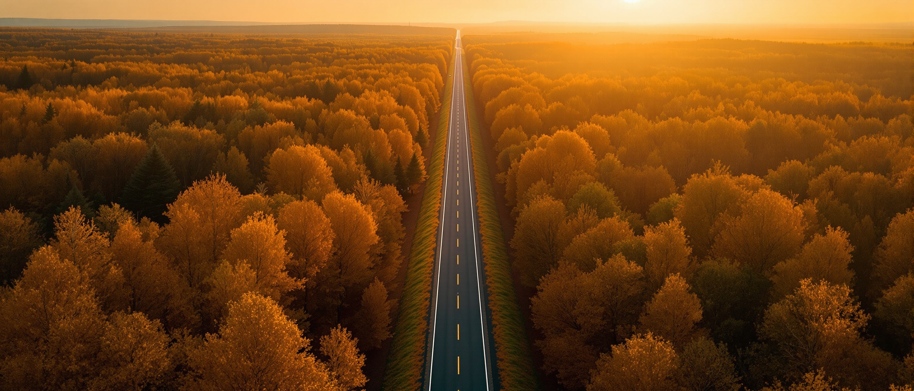 Price alert background — open road through autumn forest