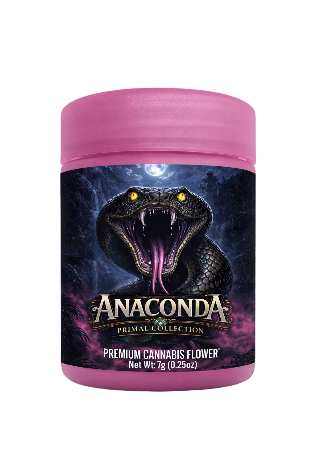 Anaconda