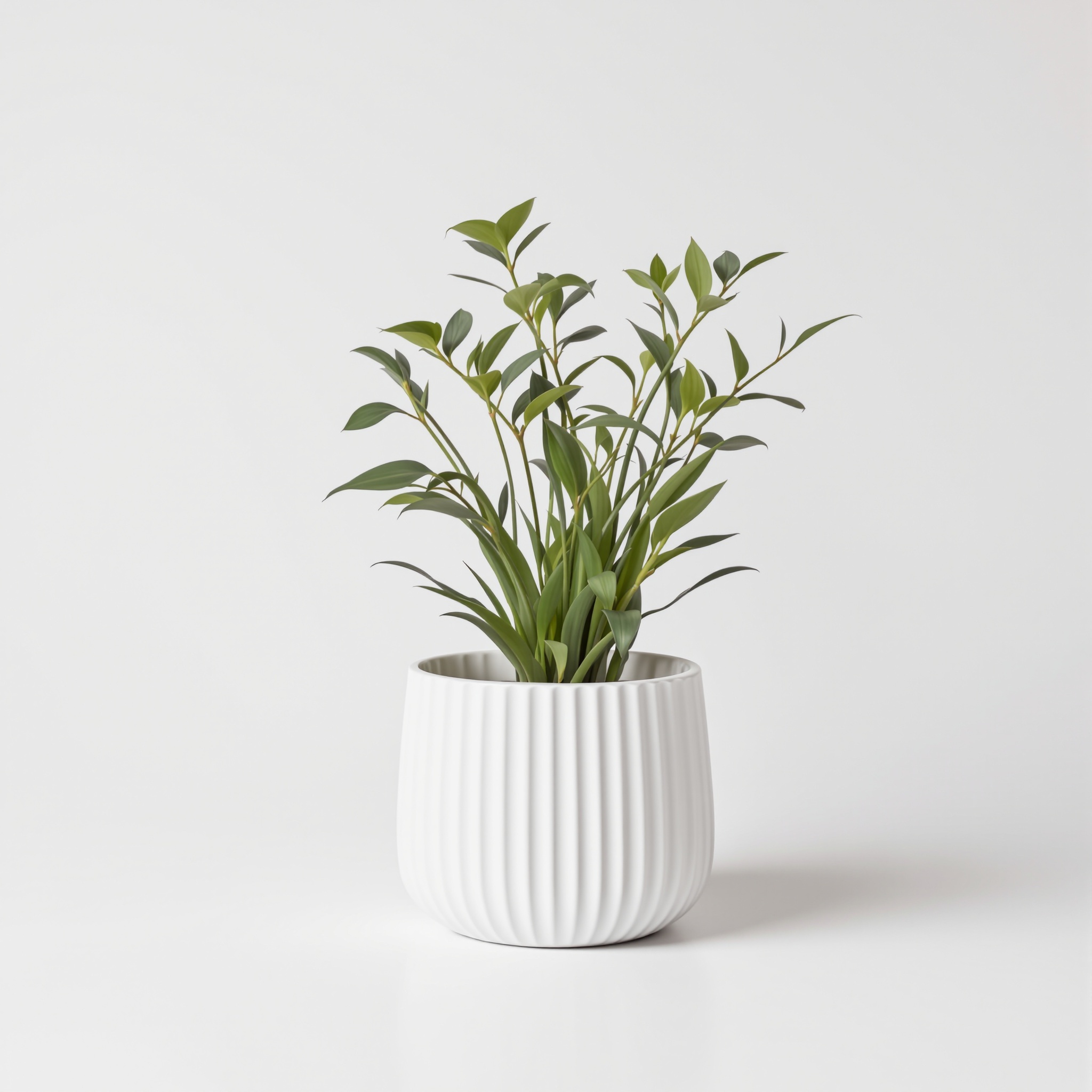La Jolie Muse Large Ceramic Planter – 7" with Drainage Hole, Matte White