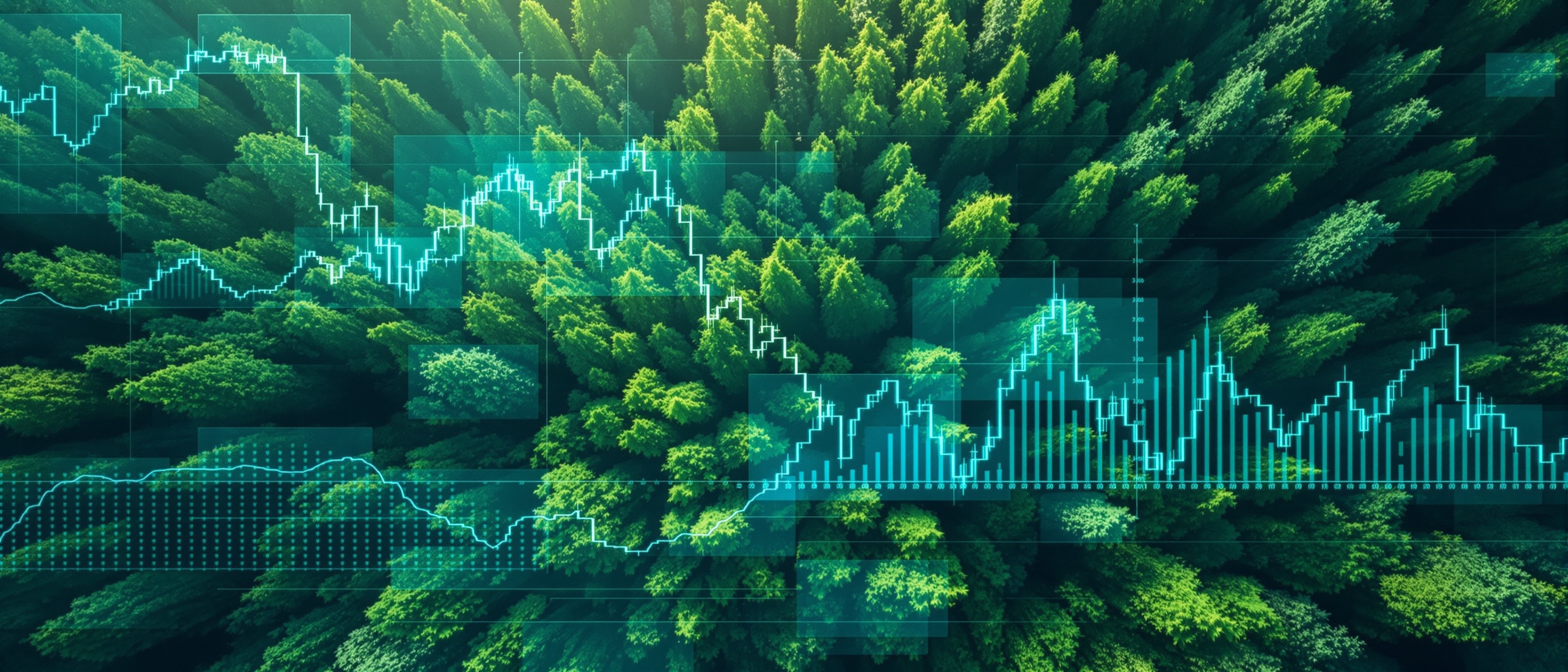 Carbon Credits Marketplace