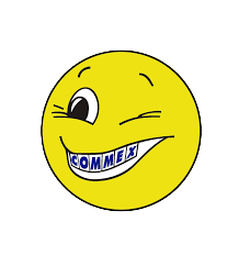 Commex Service Group