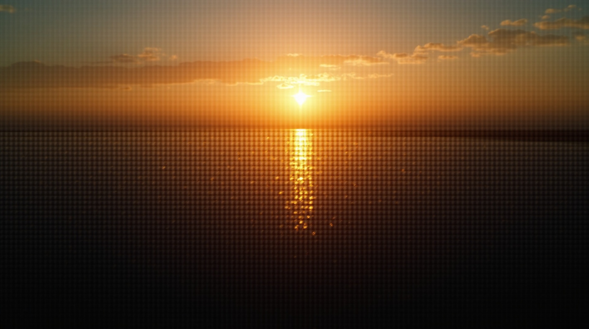 태양광 발전소 전경