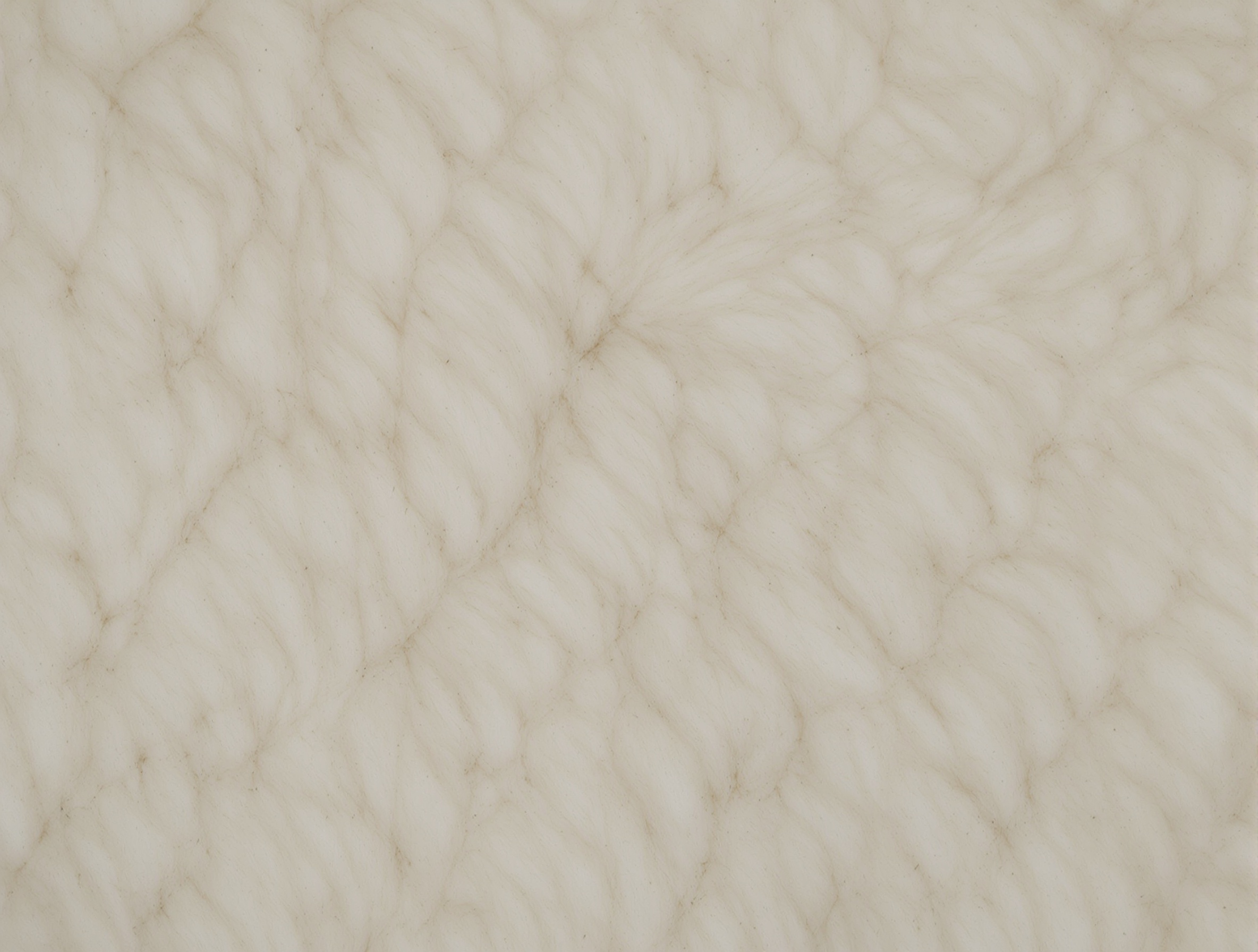 Merino Wool Knitwear