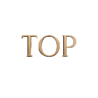 Top Massage logo