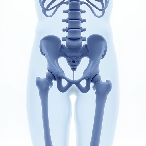 Quadril