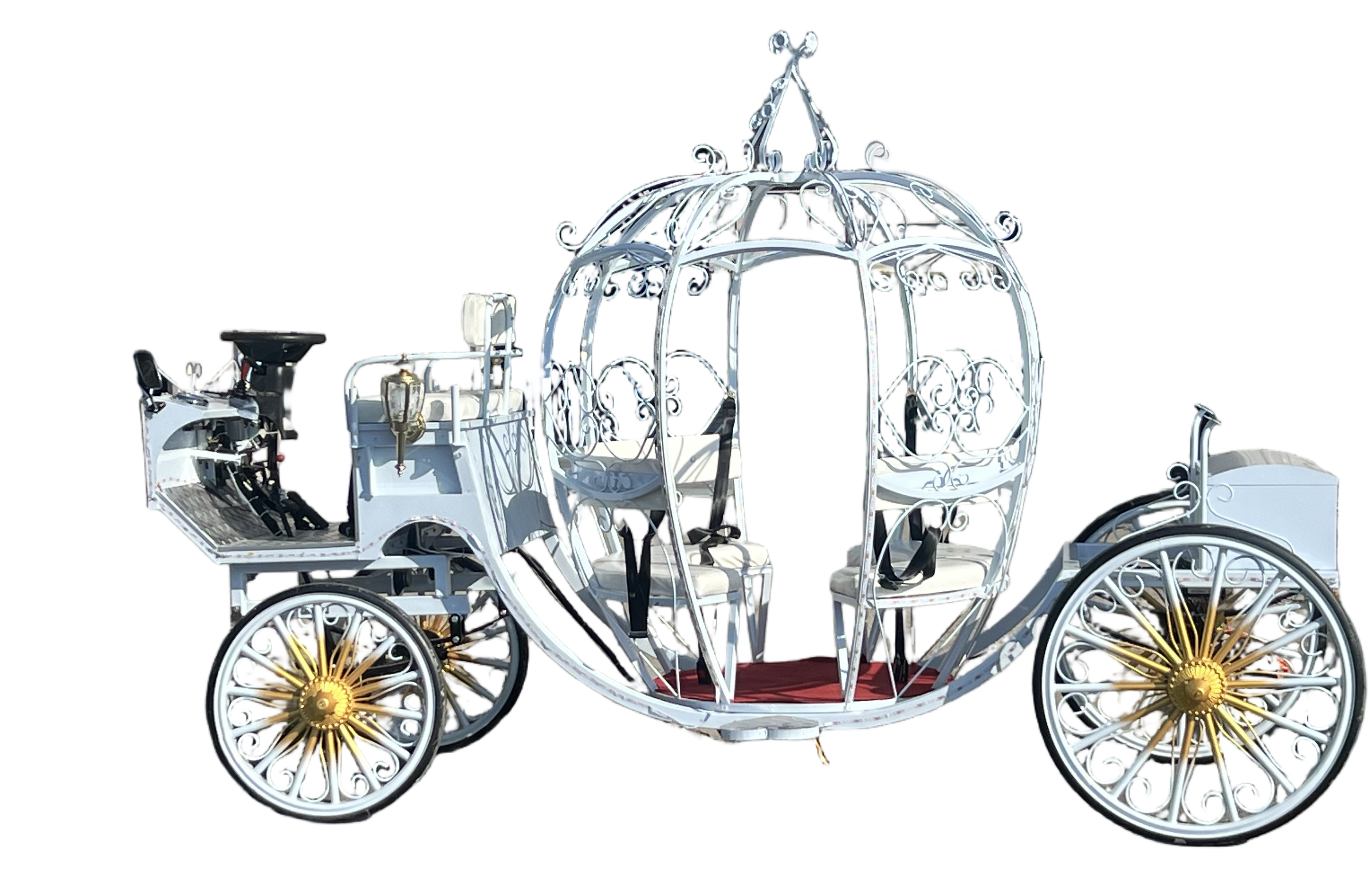 Kids Birthday Party Package - $299/hr Kids Birthday Party Package - Luxury Electric Carriage Rental Modesto CA