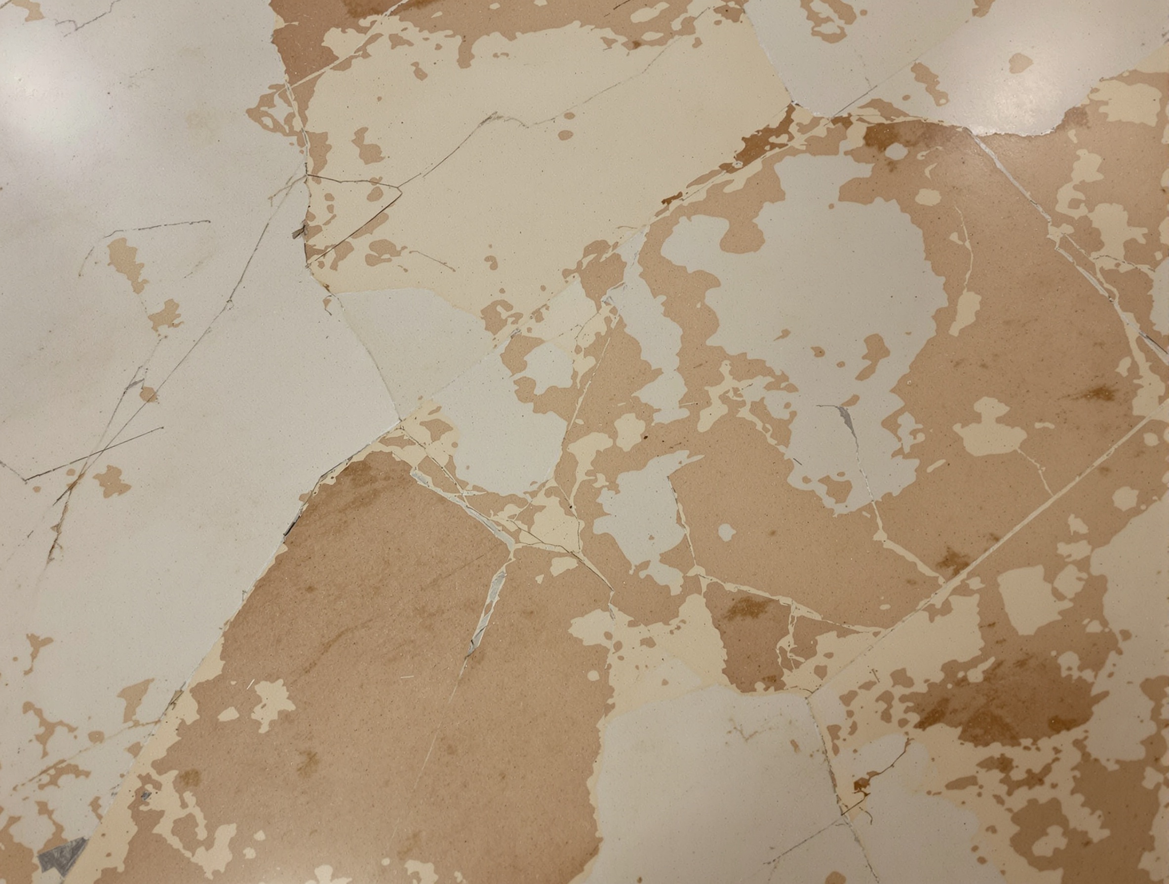 Marble Floor Restoration - Before