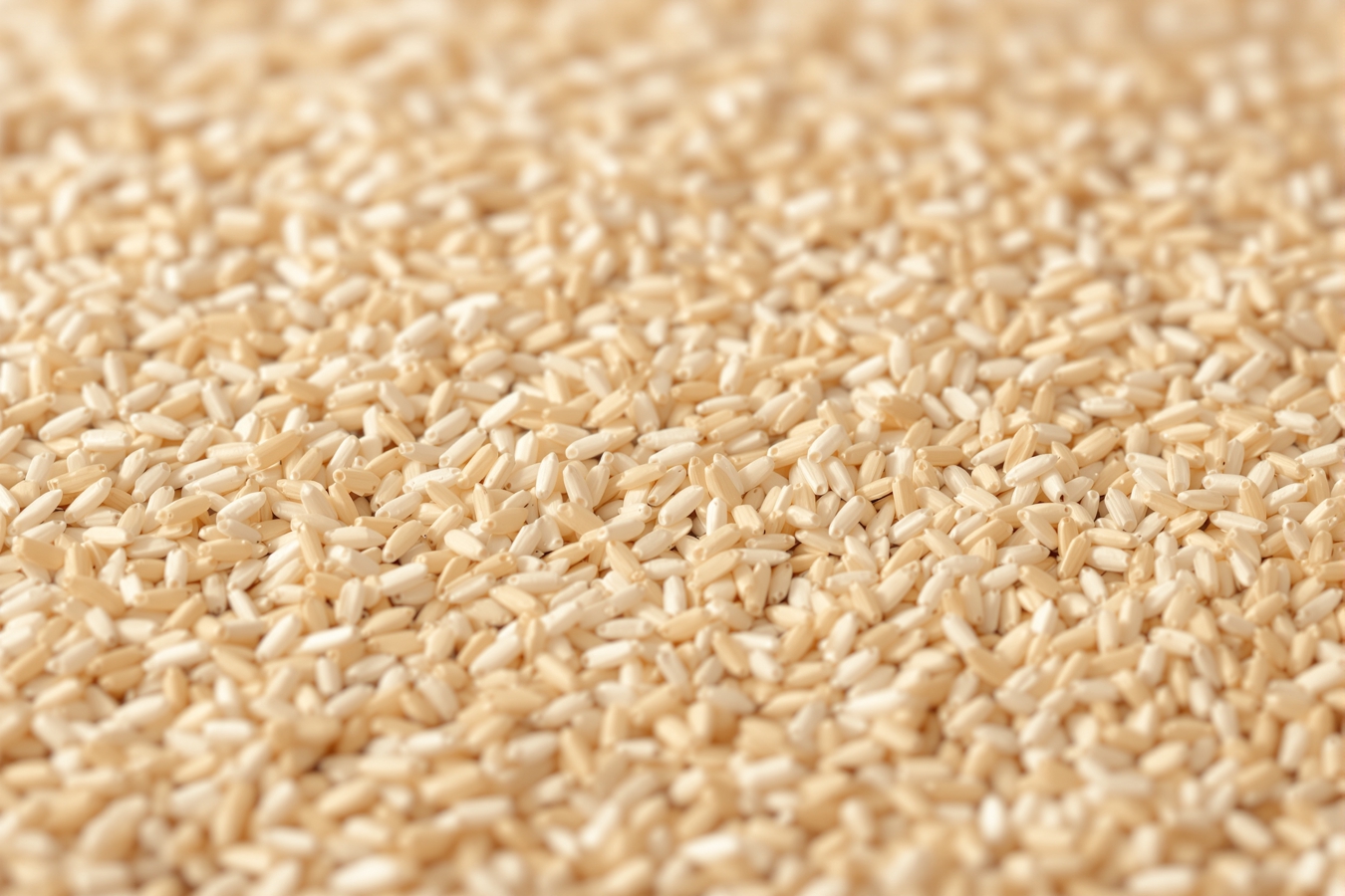 Sisal Halı makro doku