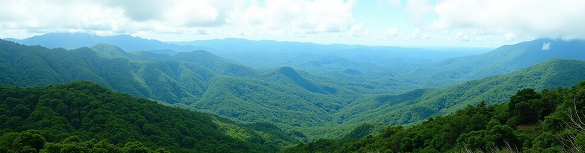 Paquetes Turísticos Costa Rica