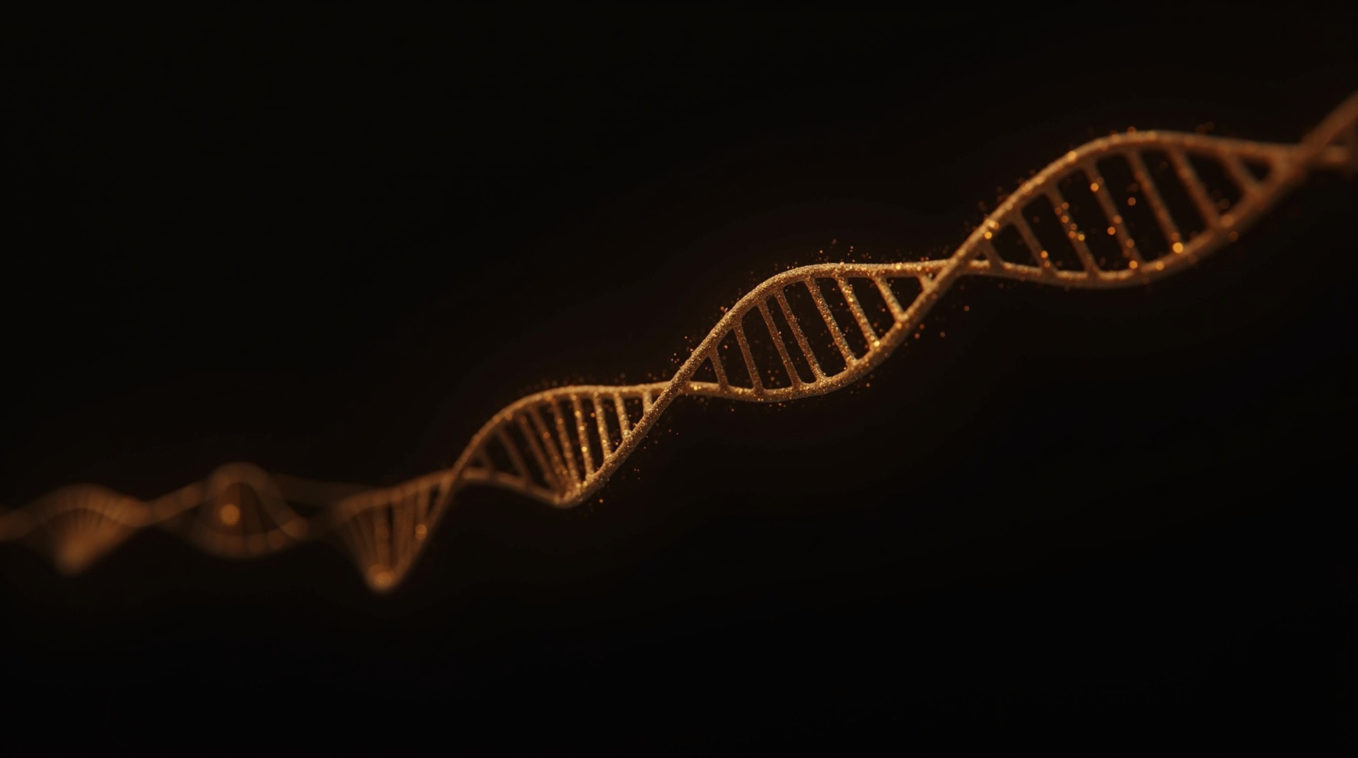 Cellular Vitality