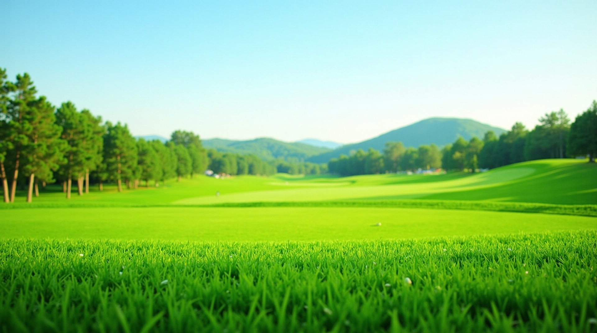 골프 필드 배경