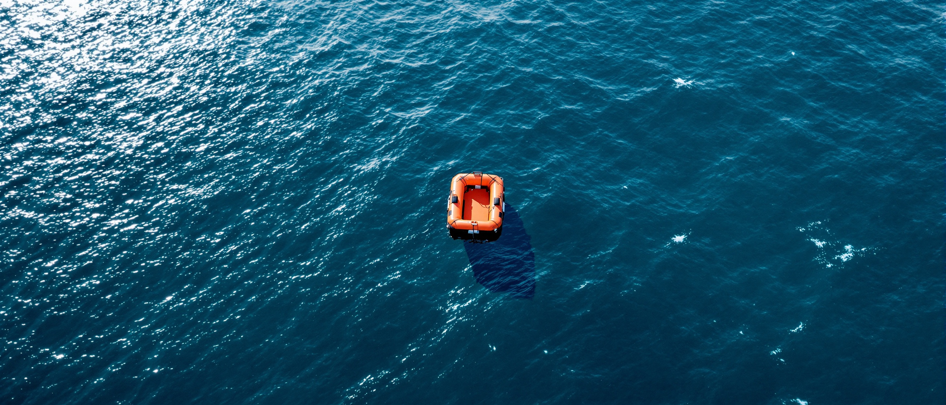 Ocean with deployed life raft