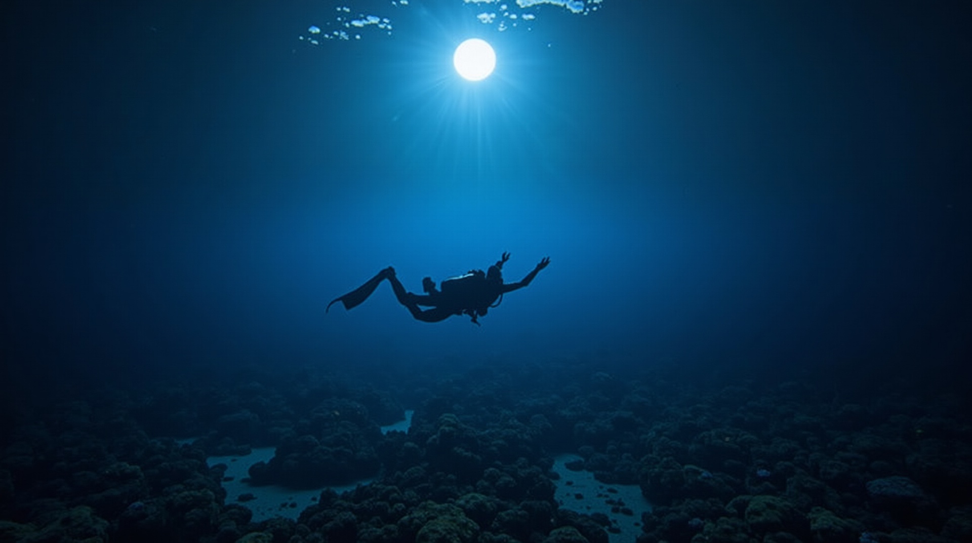 Full Moon Night Diving Great Barrier Reef