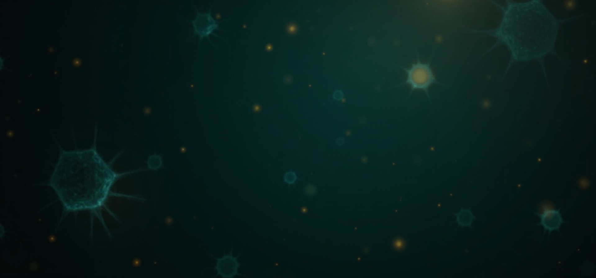 キャンペーン背景