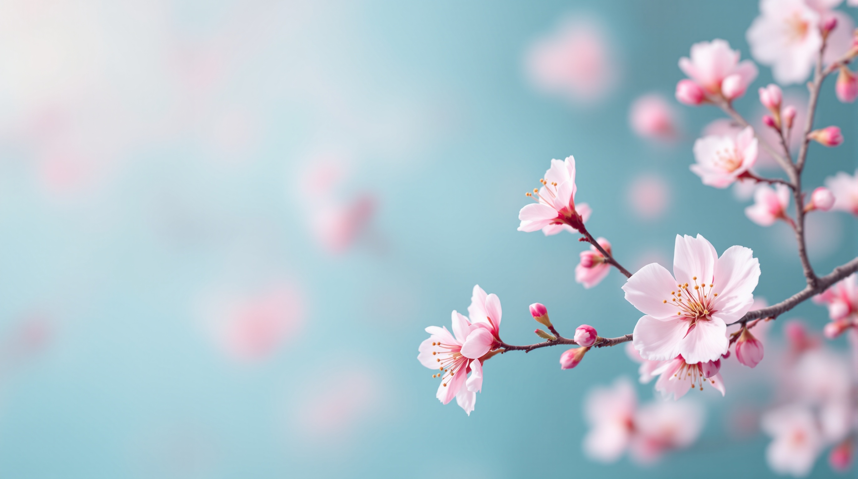 2026年春季体检优惠活动