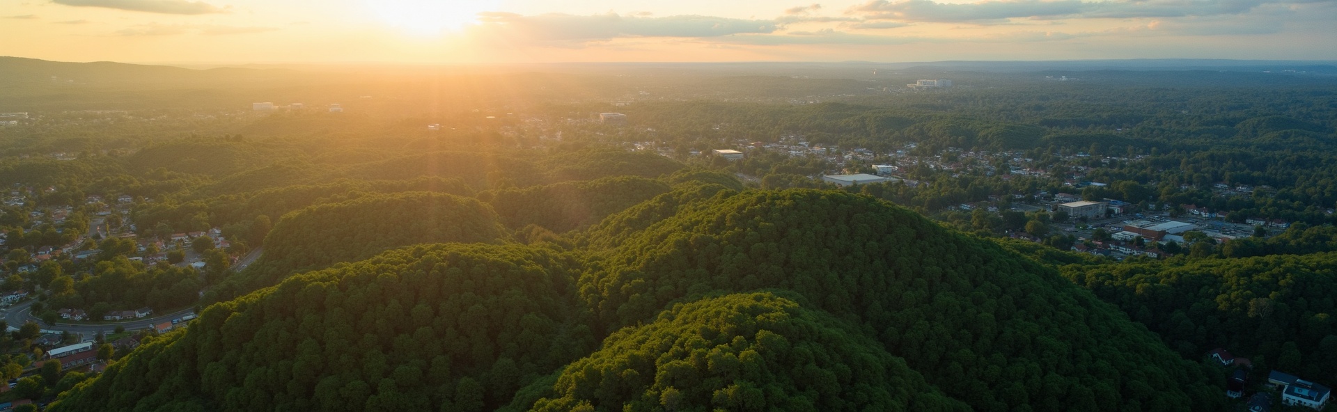 Service areas in northeast Georgia