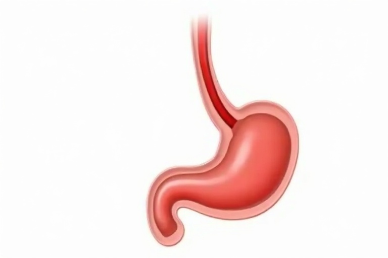 Refluxo Gastroesofágico