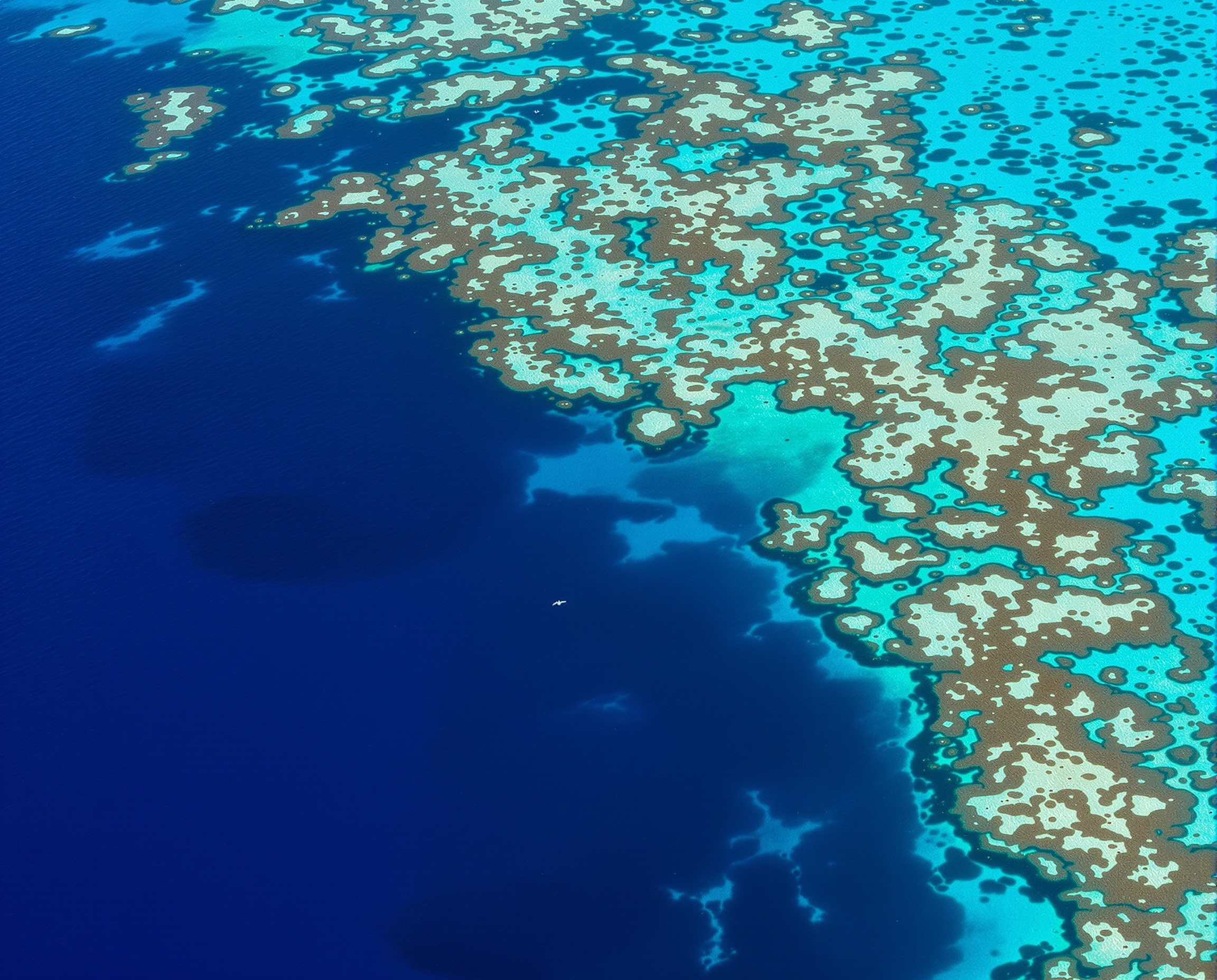 Aerial view of the Great Barrier Reef — 30 minutes by boat from Mission Beach