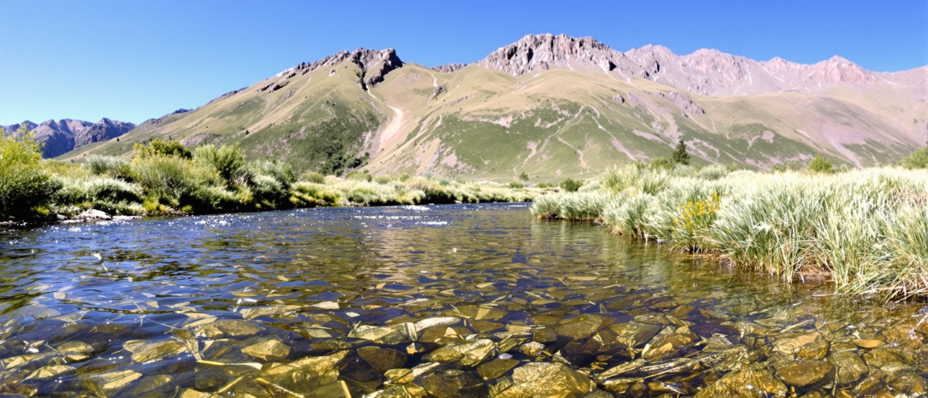 Fishing in South Platte River, Colorado