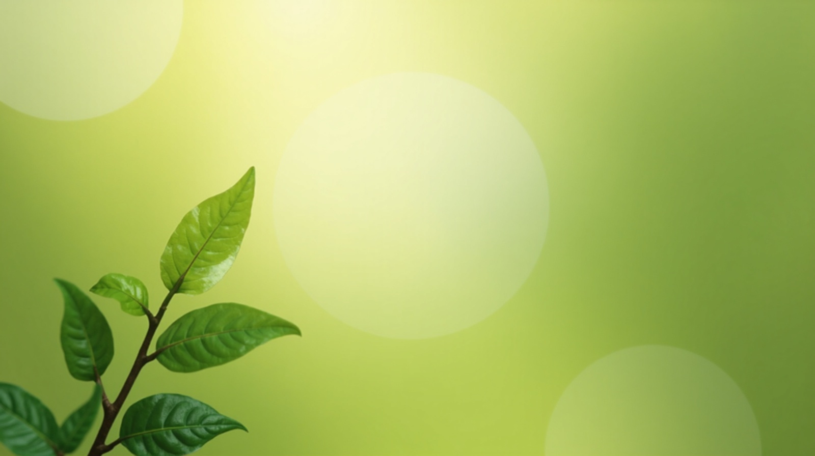 Tropical leaves wellness background