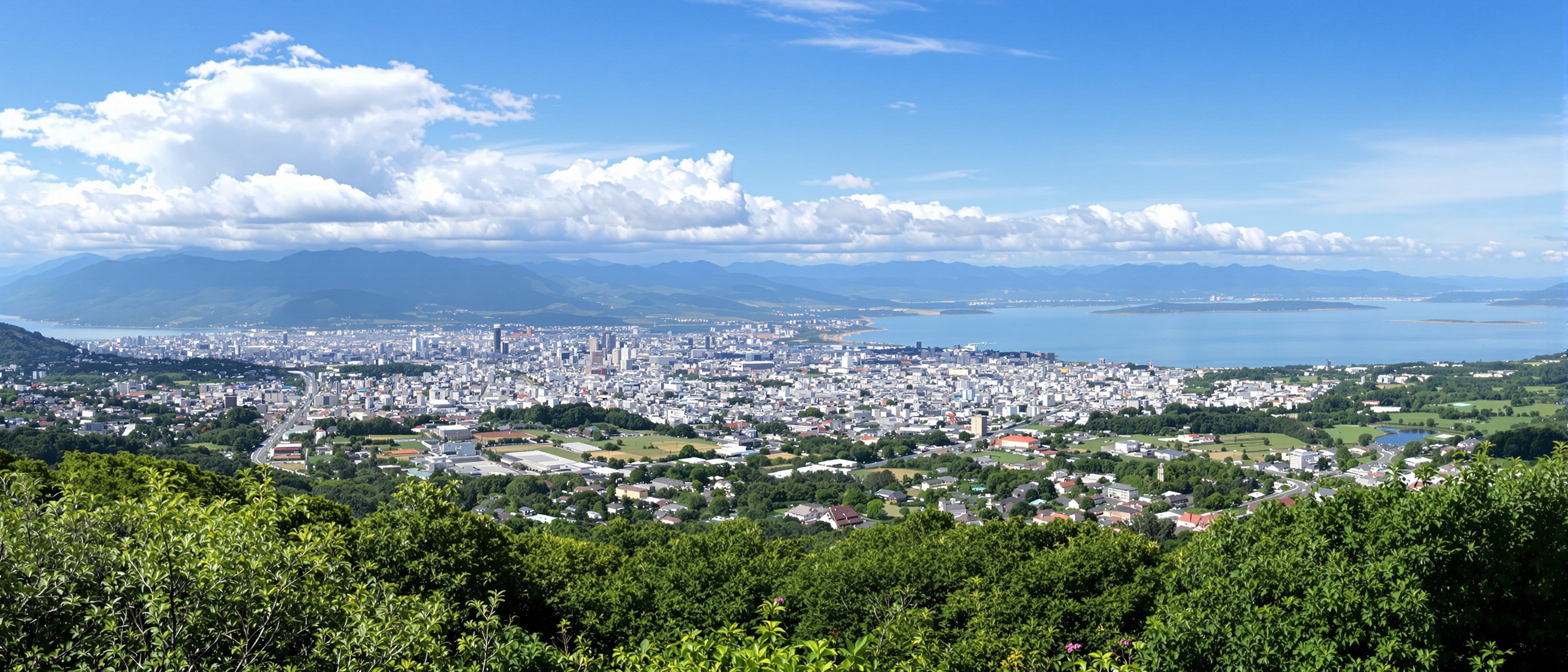 兵庫県への移住