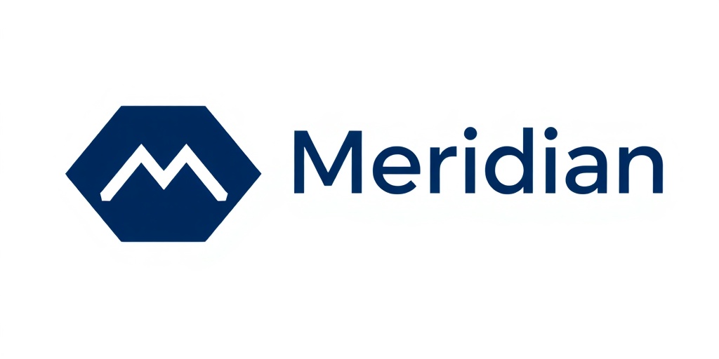 Meridian AI Partners logo