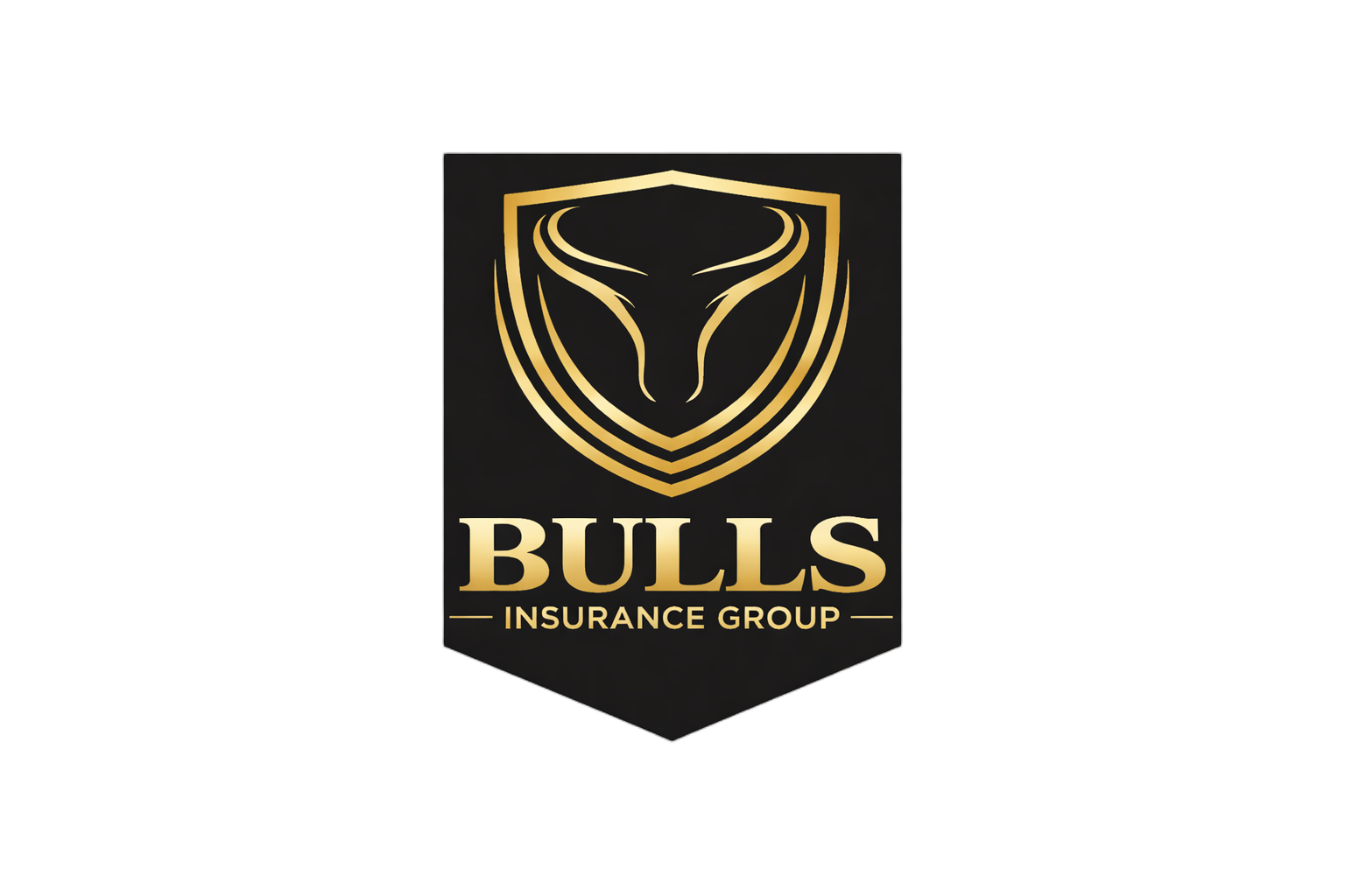 Bulls Insurance Group LLC