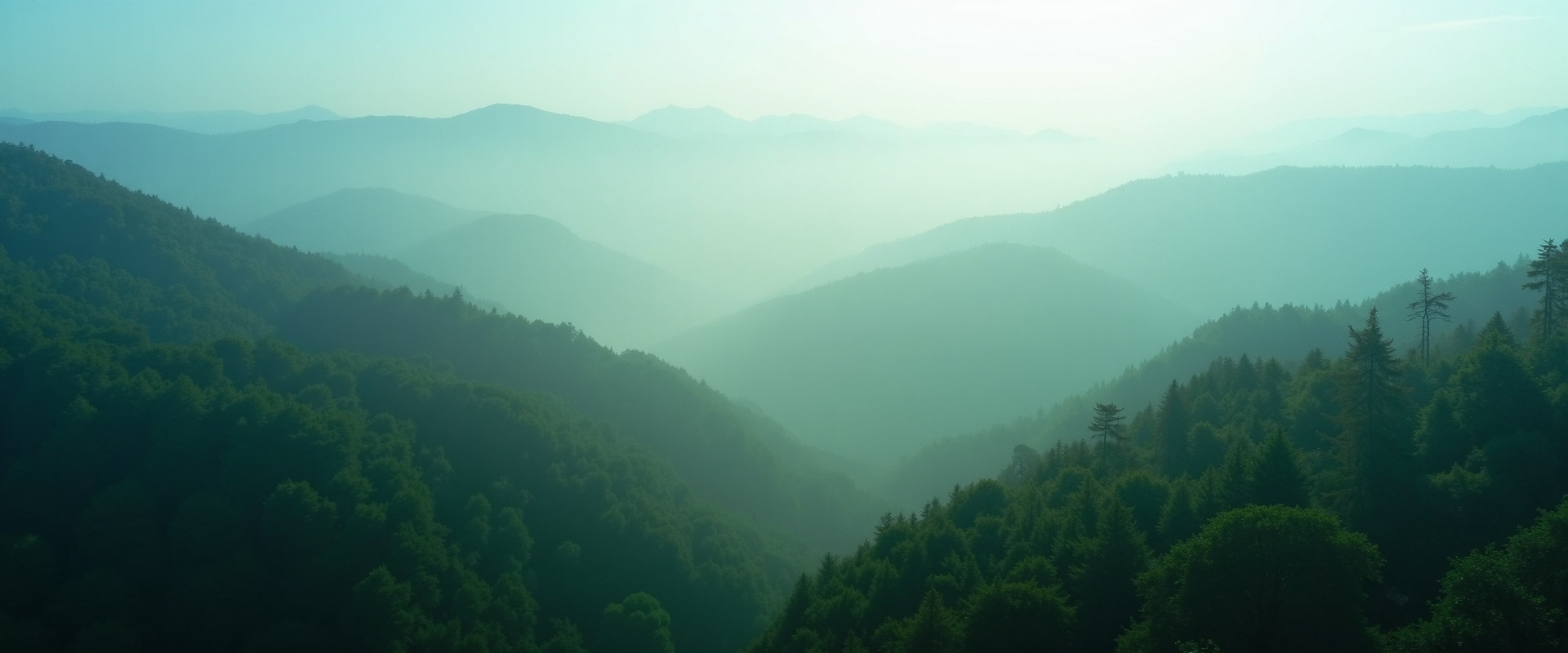 背景