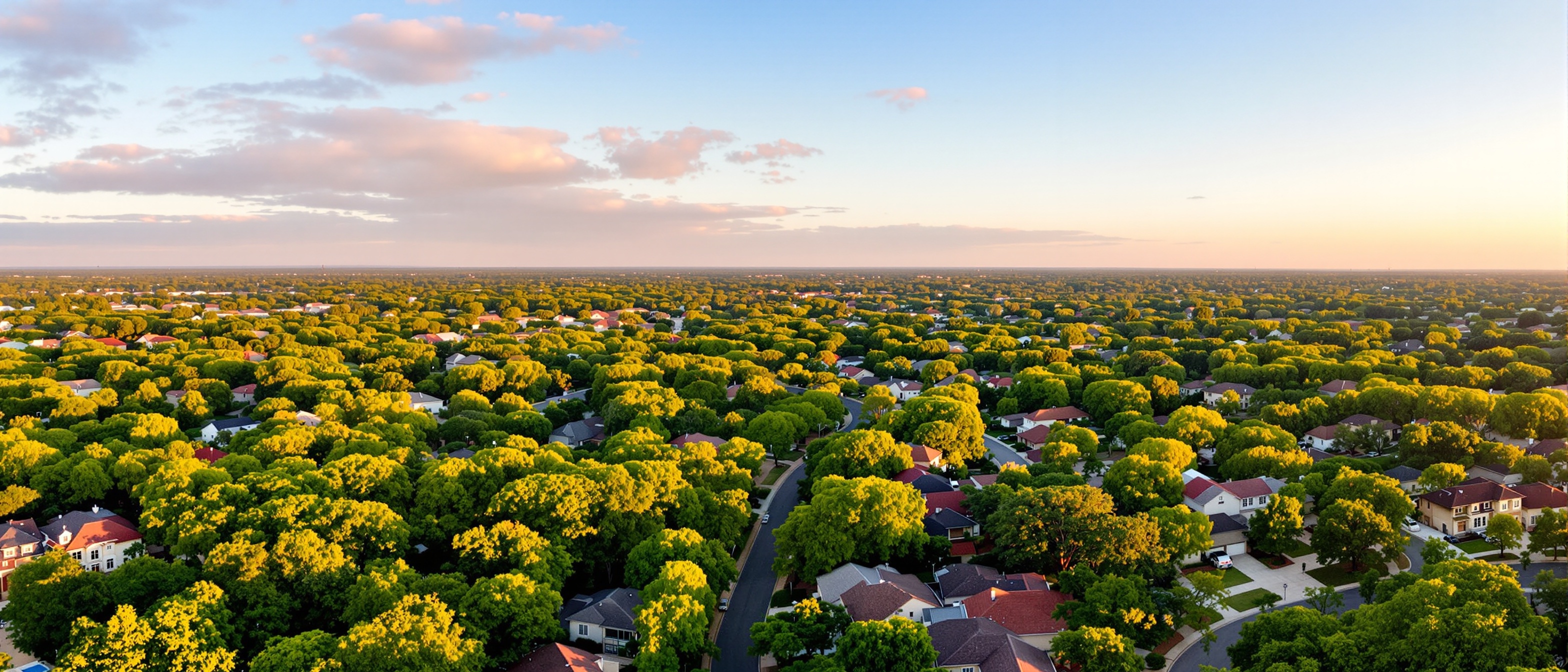 Stone Oak neighborhood