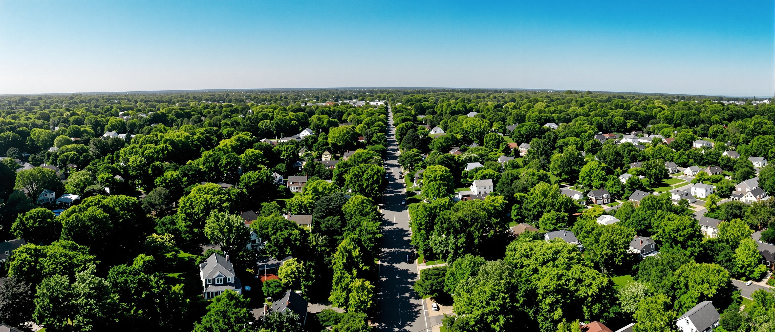 Western Massachusetts Service Area — Trimming Edge