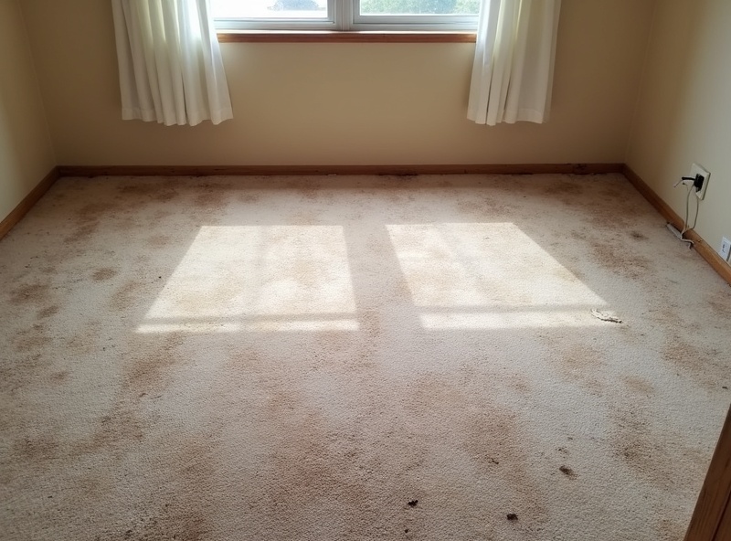 Before Carpet Replacement
