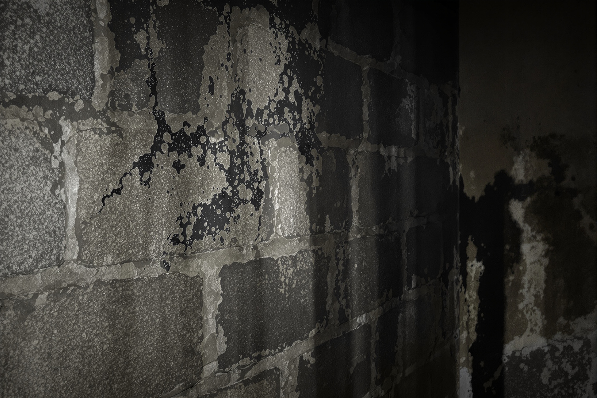 Vice caché humidité : infiltrations et moisissures découvertes après l'achat