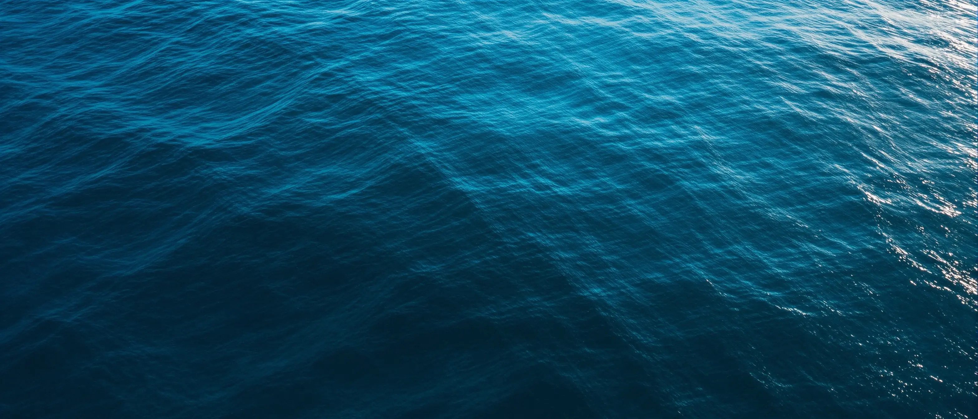 No Liquid Rx Image GLP-1 Pricing Report | Telehealth Platform Comparison | Open Water Rx