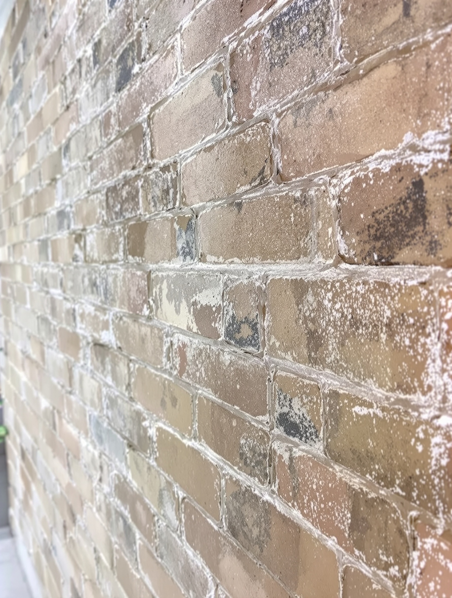 Professional Limescale Removal