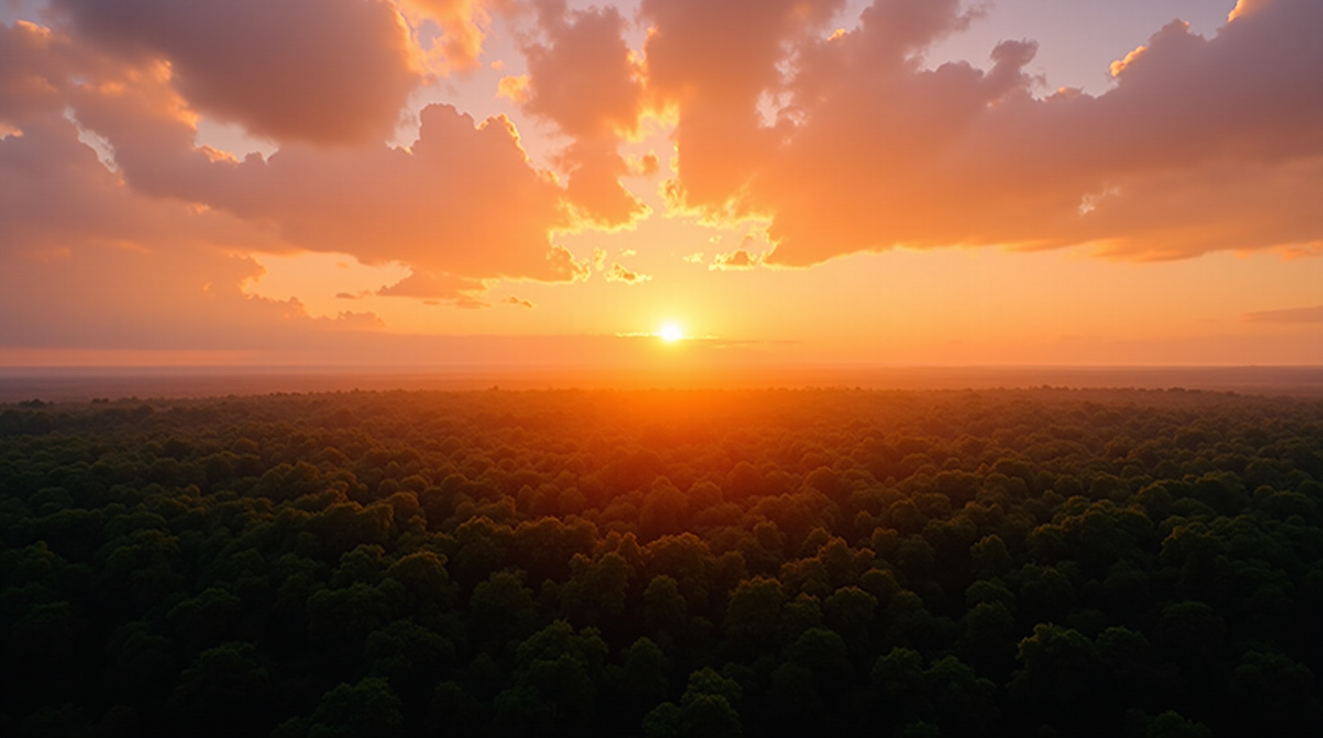Sunset over Baratang Island forest