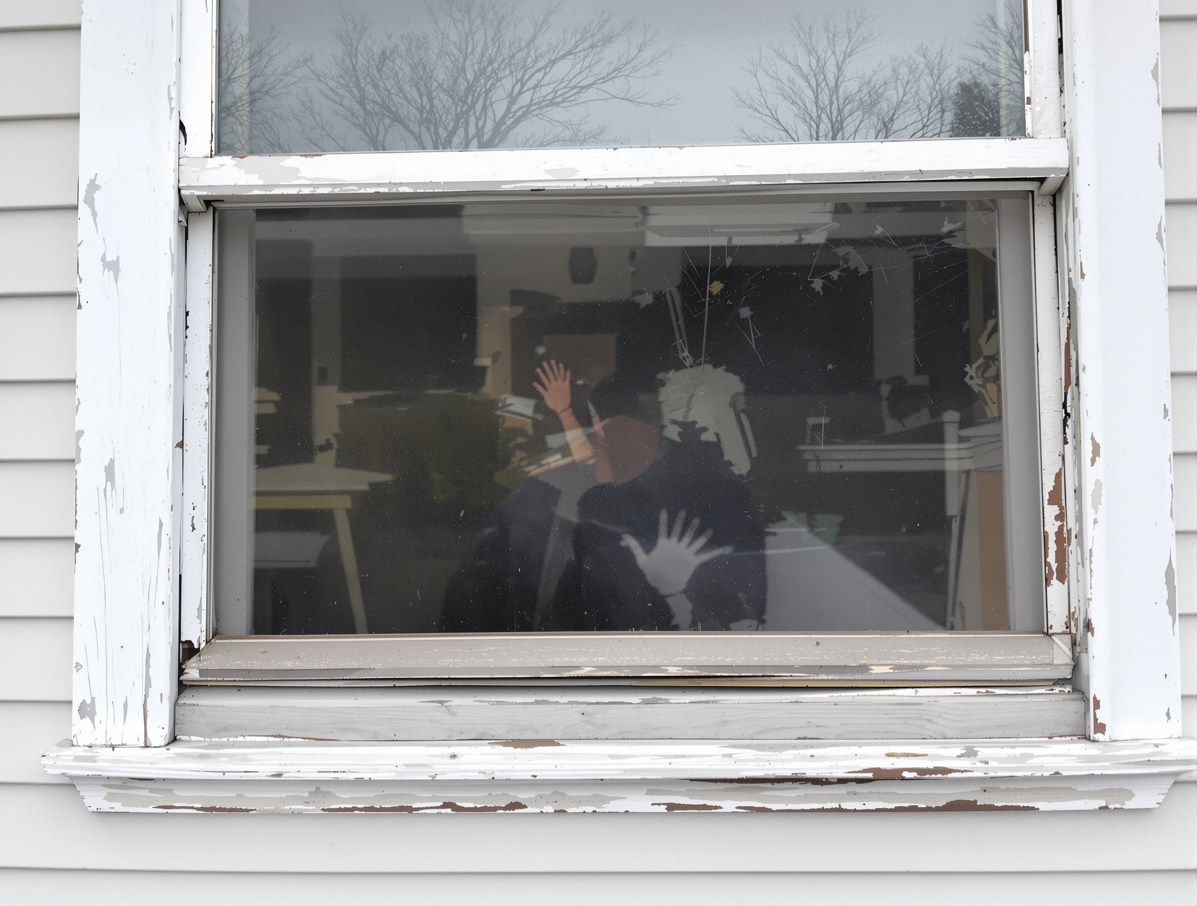 Before - Living Room Windows
