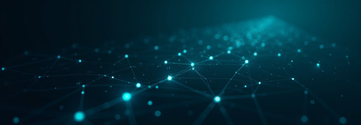 Blockchain transparence MiaouMiaou