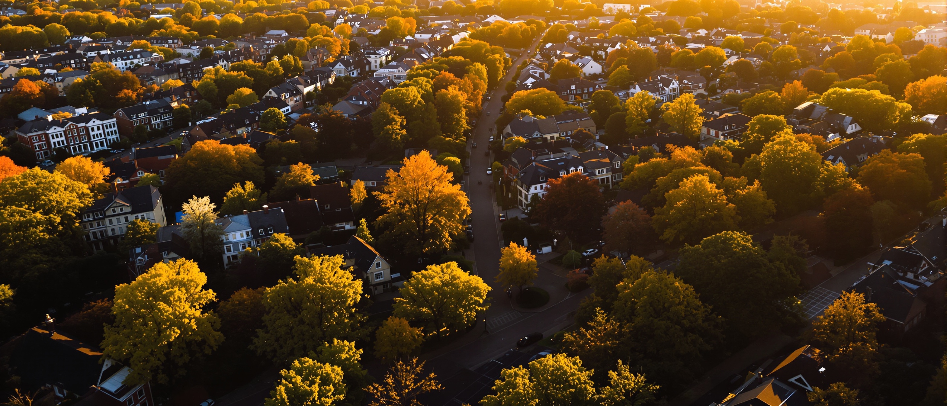 Montreal neighbourhoods protected by Blackline Pest Control