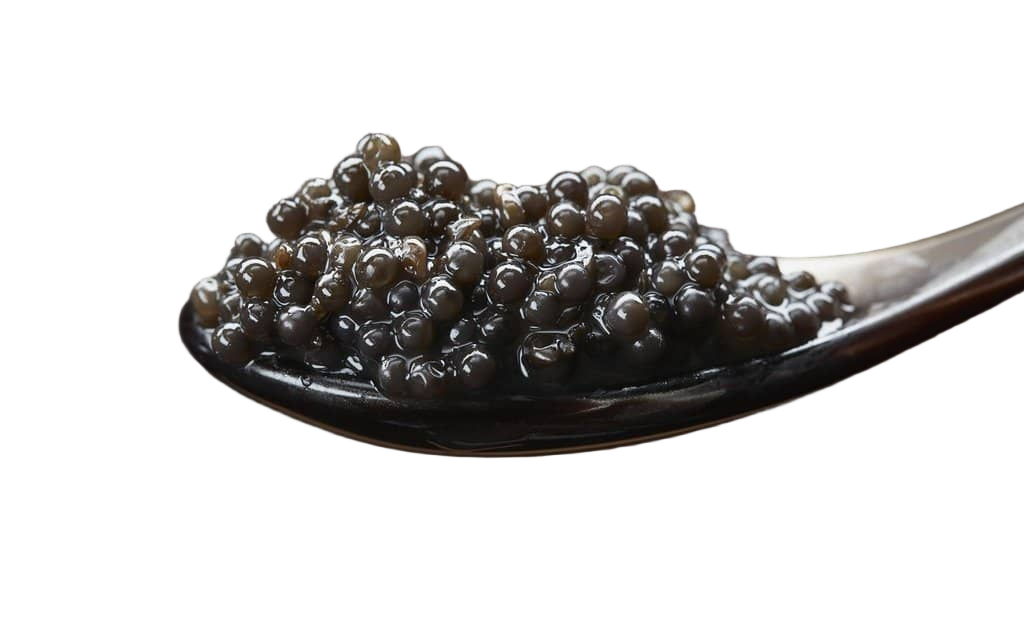 CAVIAR