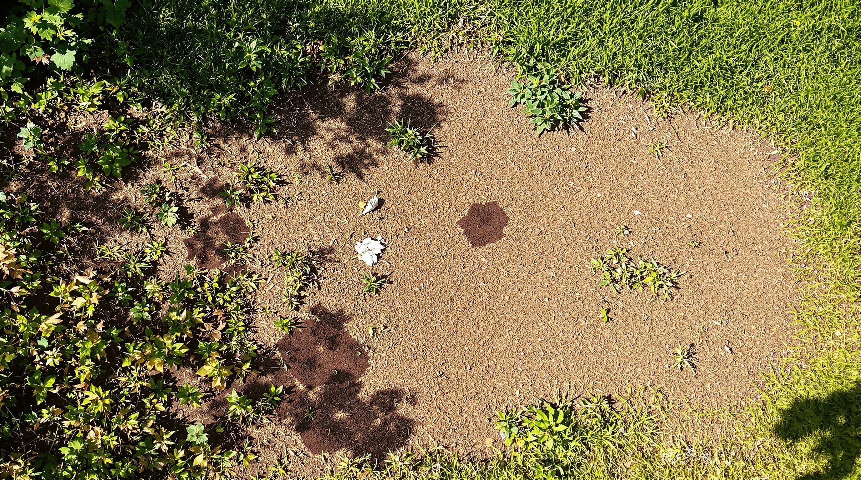 Before transformation